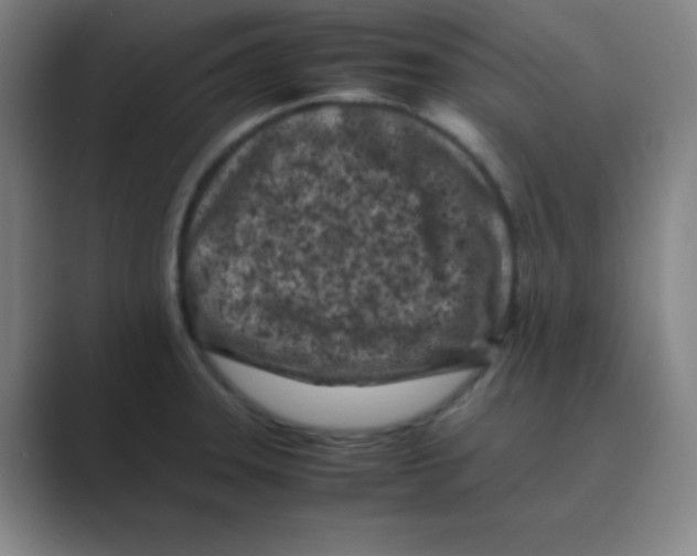 X0000088701331200706282015