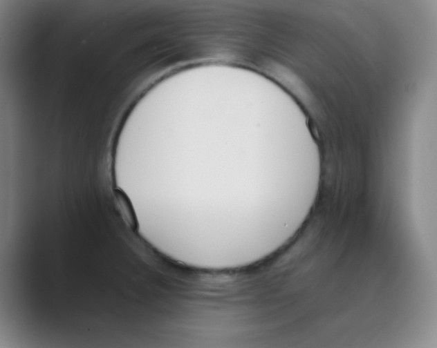 X0000088701332200706282015