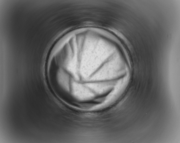 X0000088701333200706282015