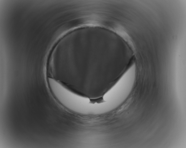 X0000088701334200706282015