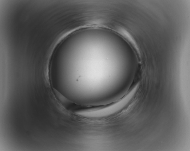 X0000088701336200706282015