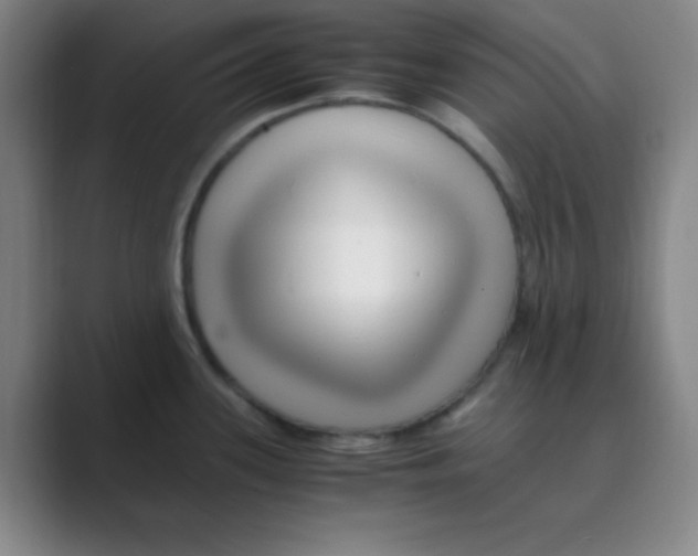 X0000088701339200706282015