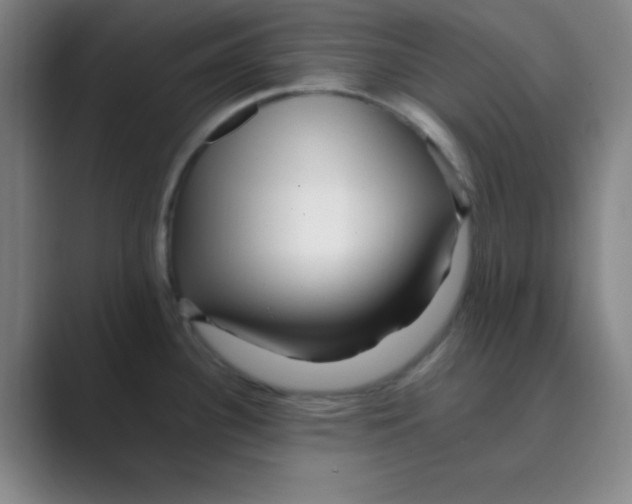 X0000088701340200706282015