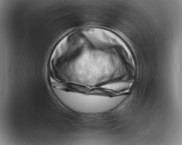 X0000088701341200706282015