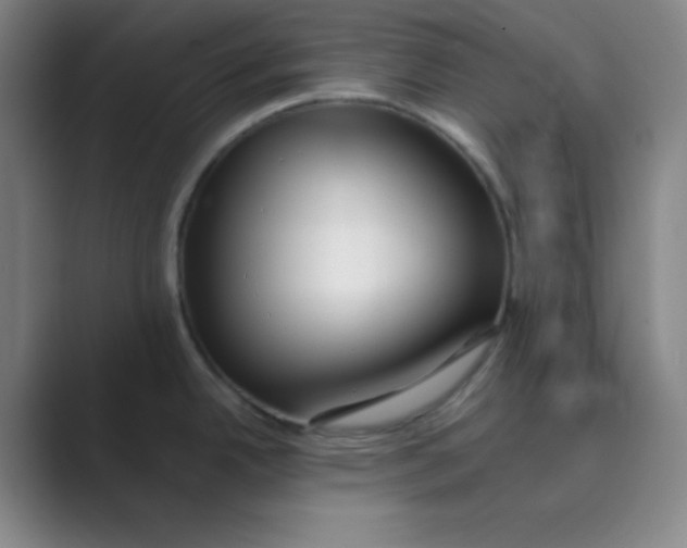 X0000088701342200706282015