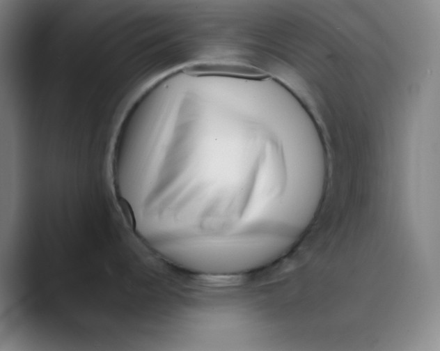 X0000088701344200706282015