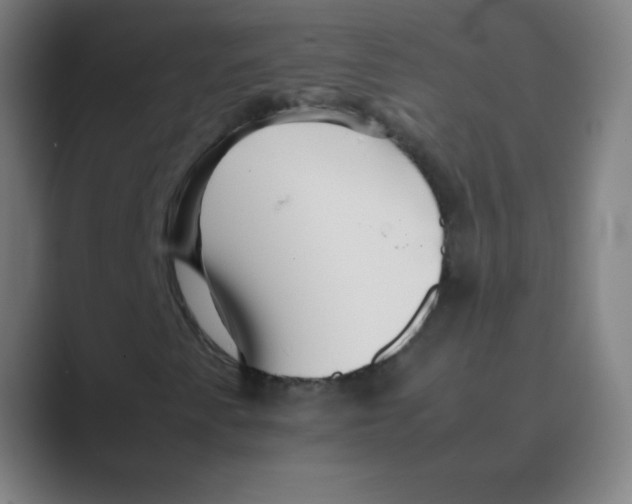 X0000088701345200706282015