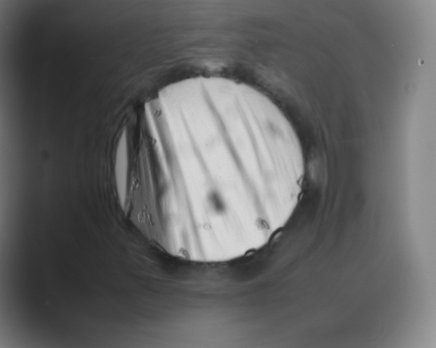 X0000088701347200706282014