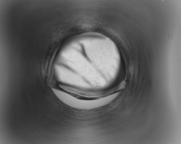 X0000088701348200706282014