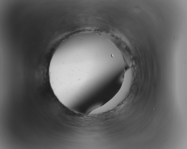 X0000088701352200706282014