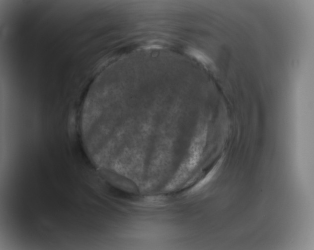 X0000088701353200706282014