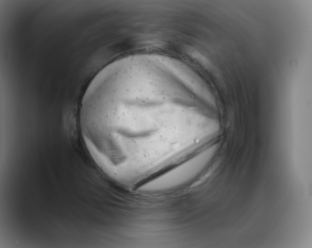 X0000088701354200706282014