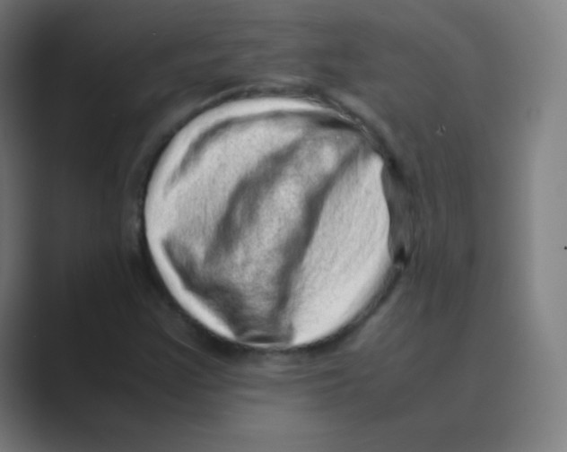 X0000088701355200706282014