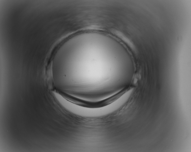 X0000088701356200706282014