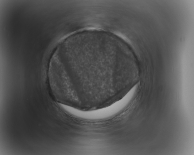 X0000088701359200706282014