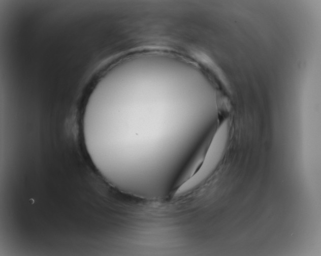 X0000088701360200706282014