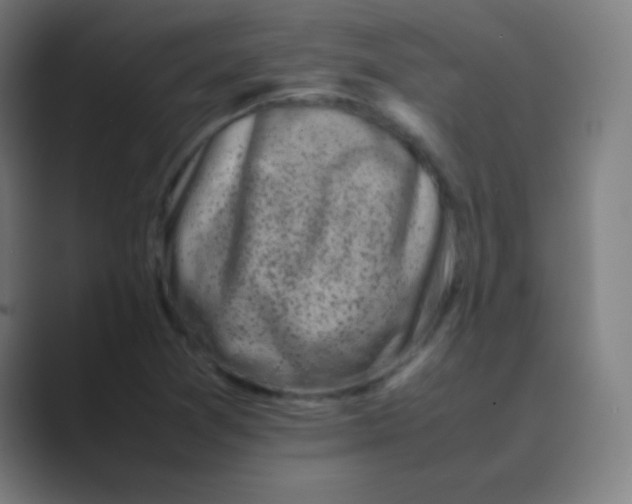 X0000088701361200706282014