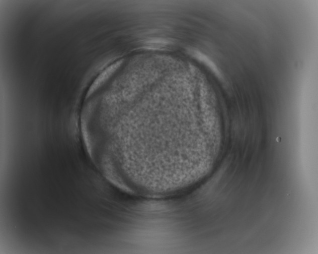 X0000088701362200706282014