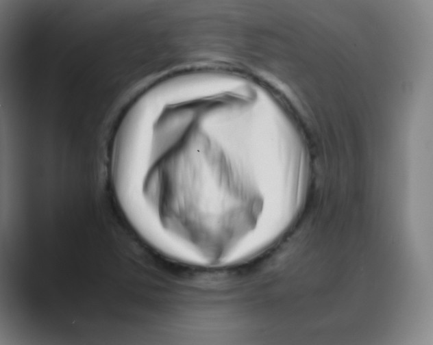 X0000088701363200706282014