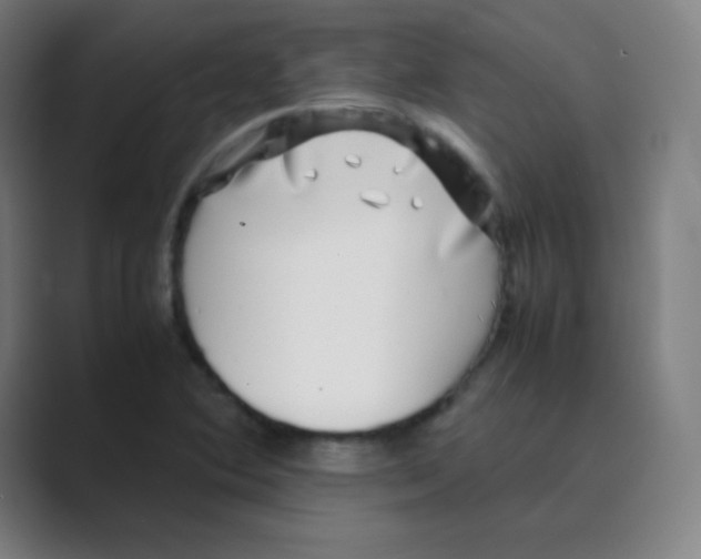 X0000088701364200706282014