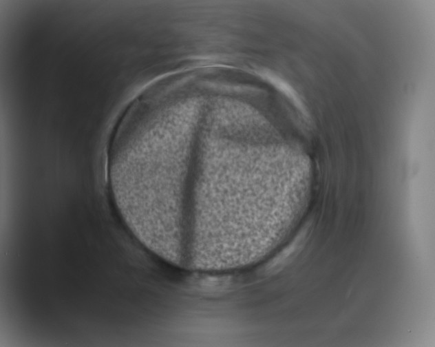 X0000088701365200706282014