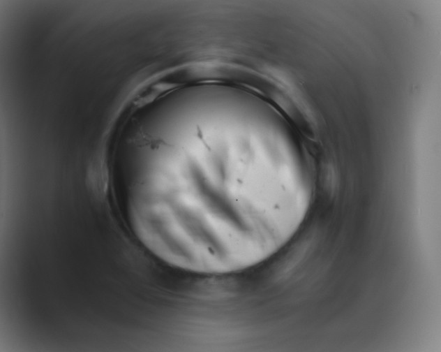 X0000088701368200706282014