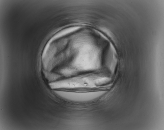 X0000088701371200706282014