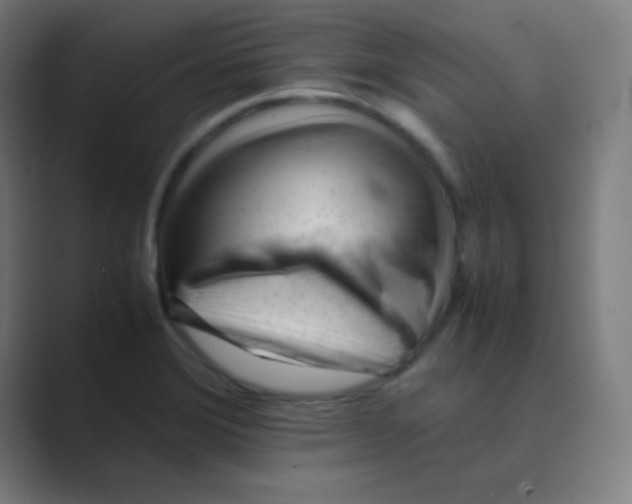 X0000088701372200706282014