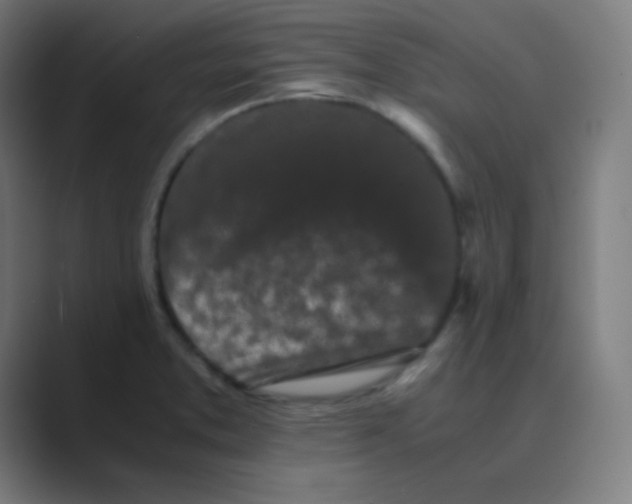 X0000088701373200706282014