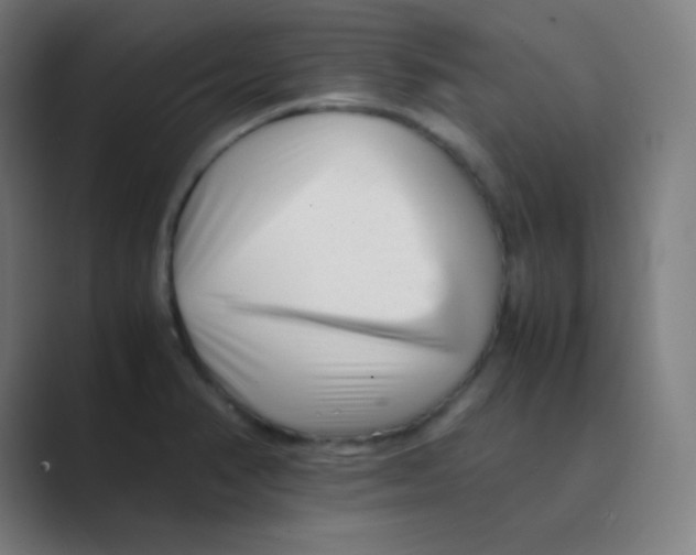 X0000088701374200706282014