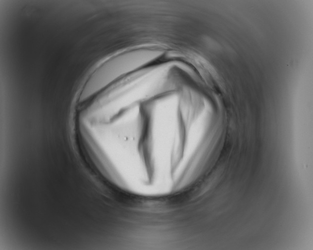 X0000088701375200706282014