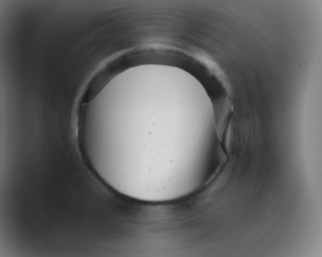 X0000088701376200706282014