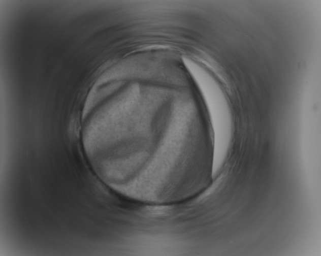 X0000088701377200706282014