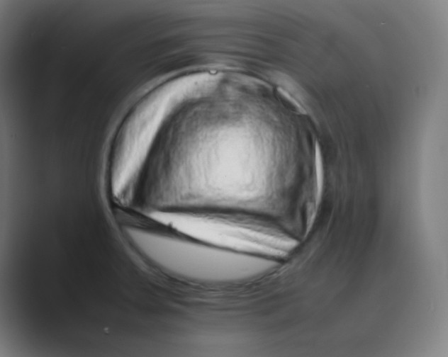 X0000088701379200706282014