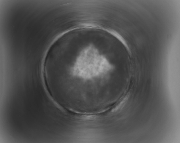 X0000088701381200706282014