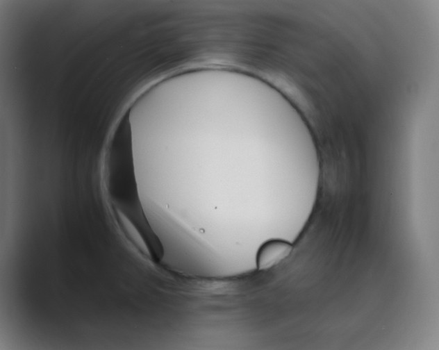 X0000088701382200706282014