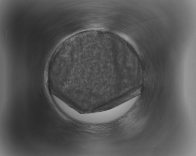 X0000088701383200706282014