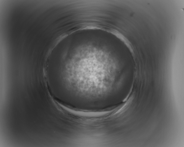 X0000088701385200706282014