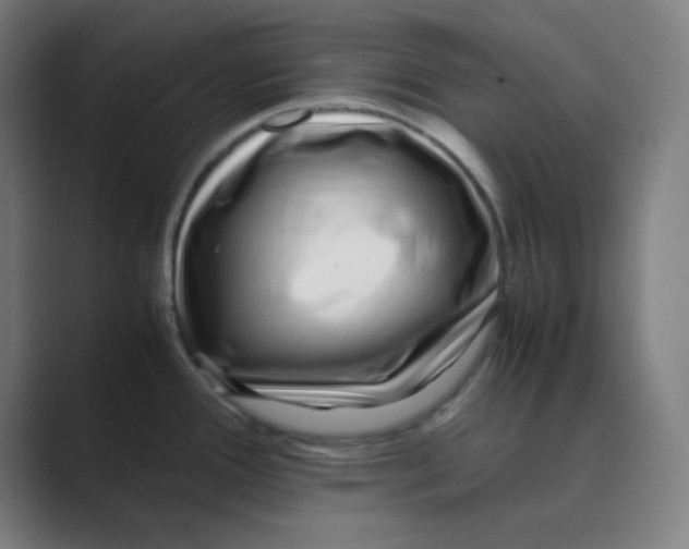 X0000088701388200706282014