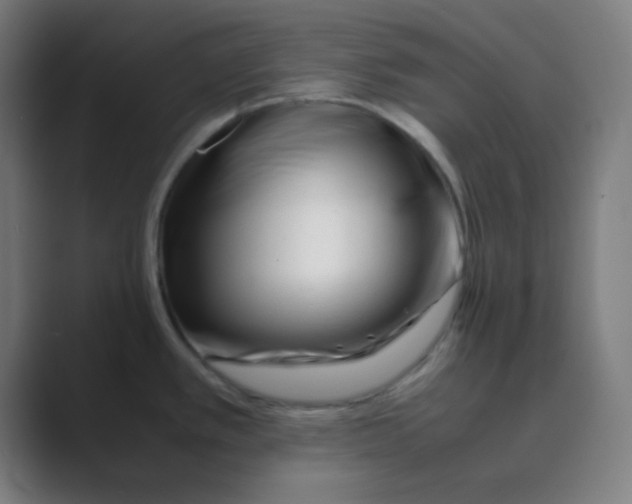 X0000088701389200706282014