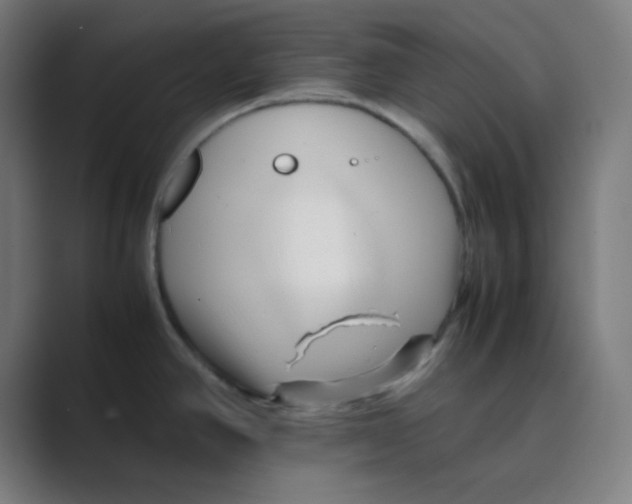 X0000088701390200706282014