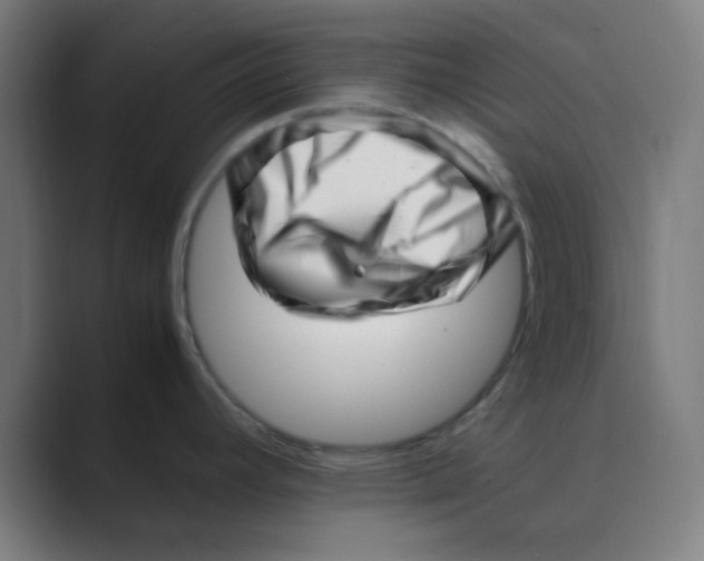 X0000088701392200706282014