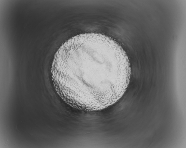 X0000088701393200706282013