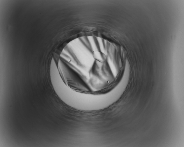 X0000088701394200706282013