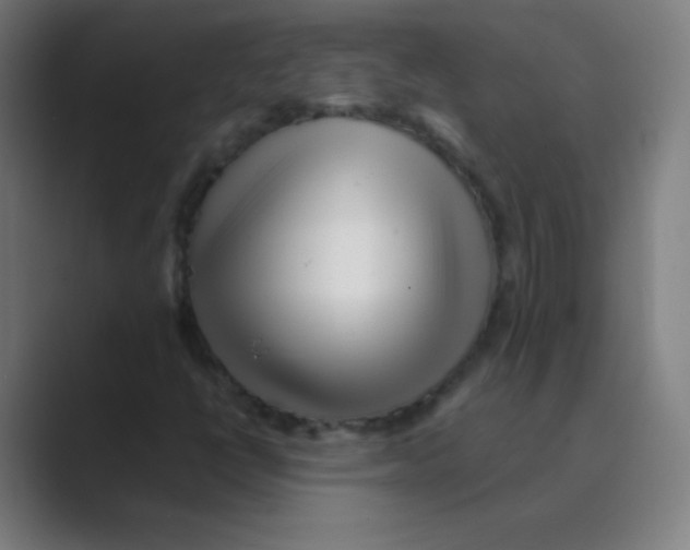 X0000088701398200706282013