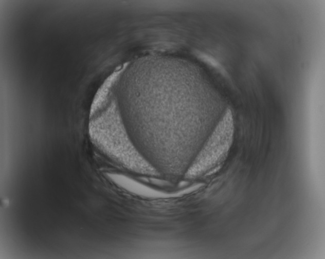 X0000088701399200706282013