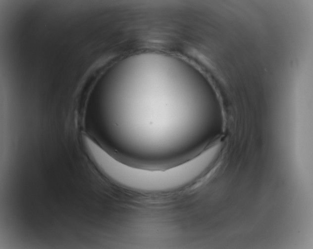 X0000088701402200706282013