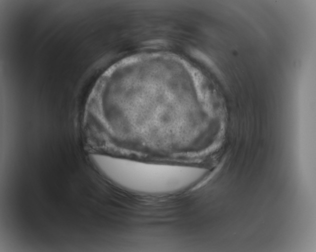 X0000088701403200706282013