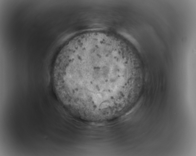 X0000088701407200706282013