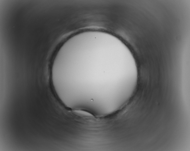 X0000088701408200706282013